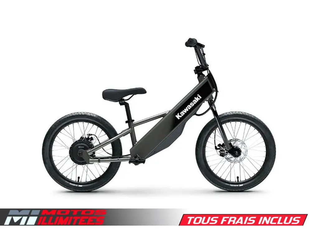 2025 Kawasaki Elektrode 20FS 