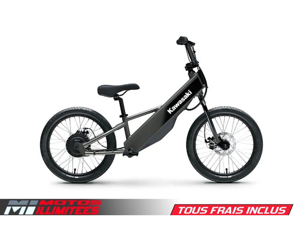 Kawasaki Elektrode 20fs 2025 alt