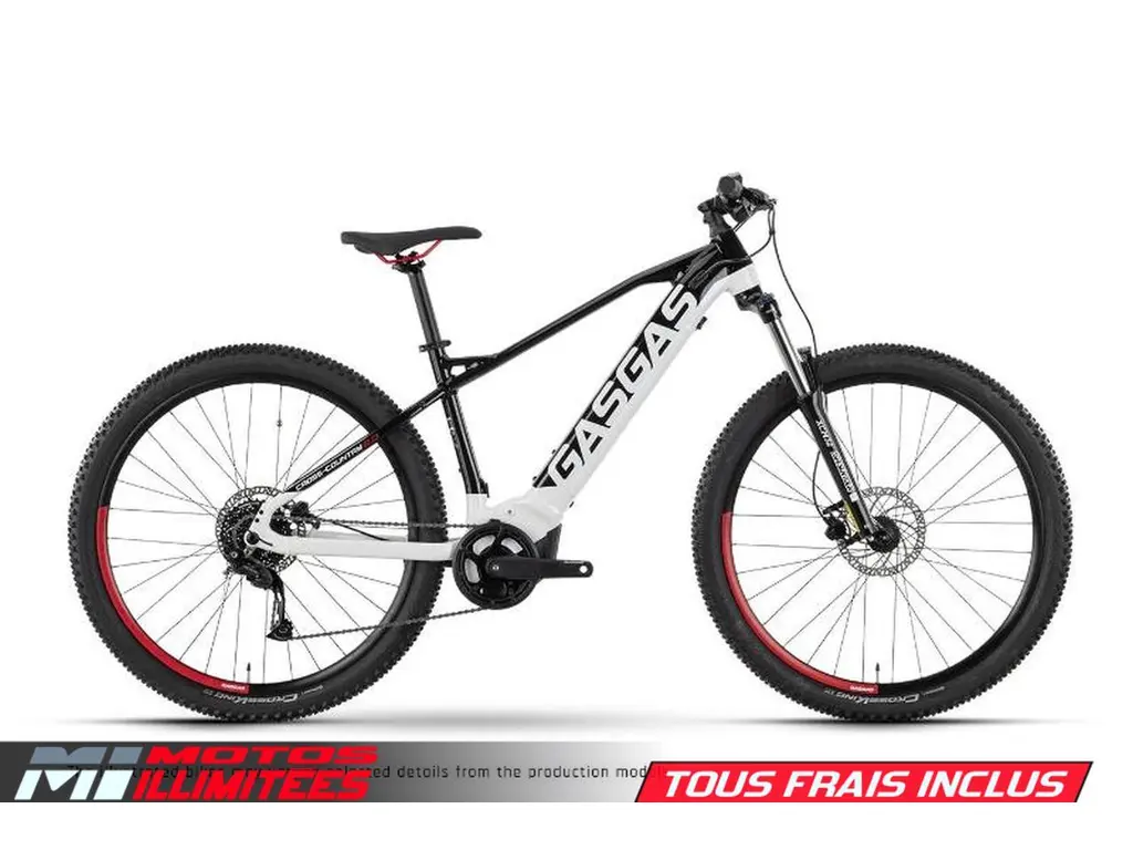 2024 Gas Gas G Cross Country 2.0