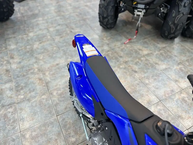 2025 Yamaha TT-R 110 thumbnail 9