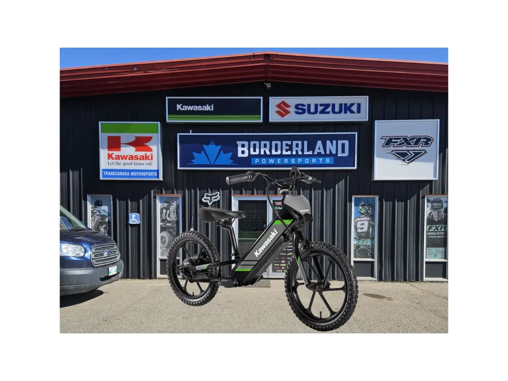 2025 Kawasaki Elektrode 16-Black 