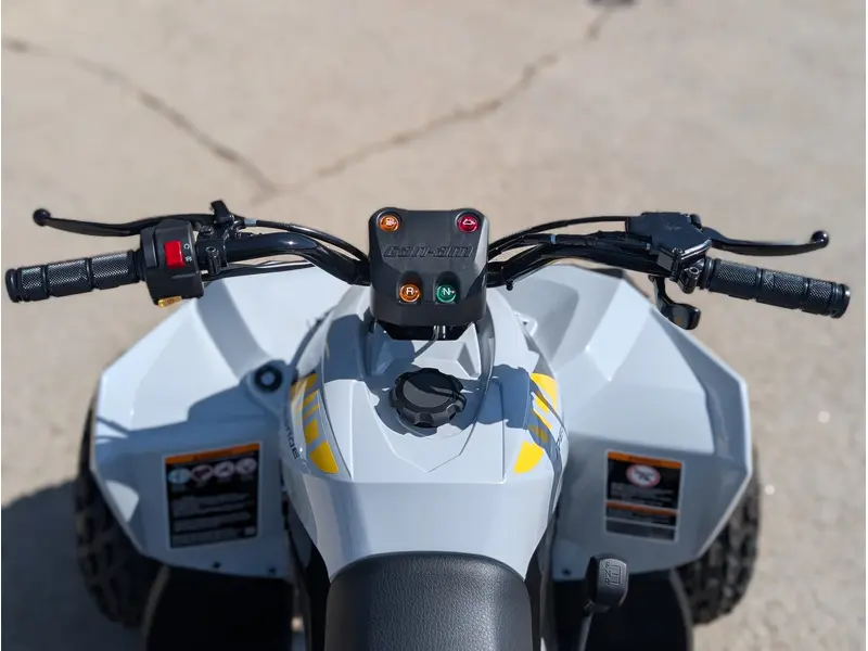 2025 Can-Am Renegade 110 EFI