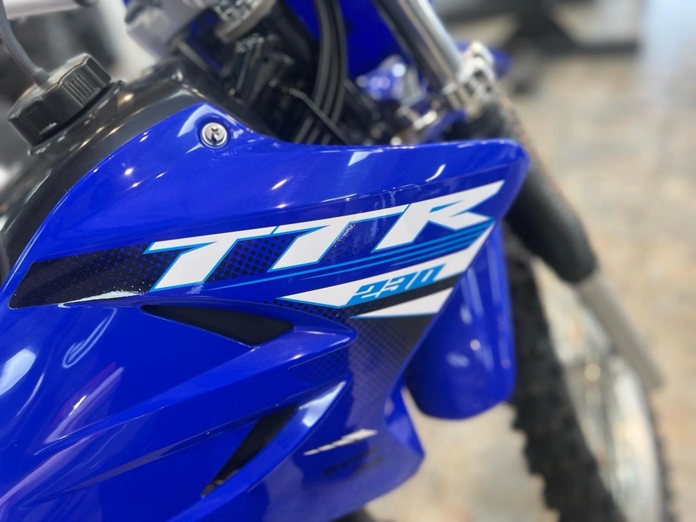 2025 Yamaha Tt-r 230 alt