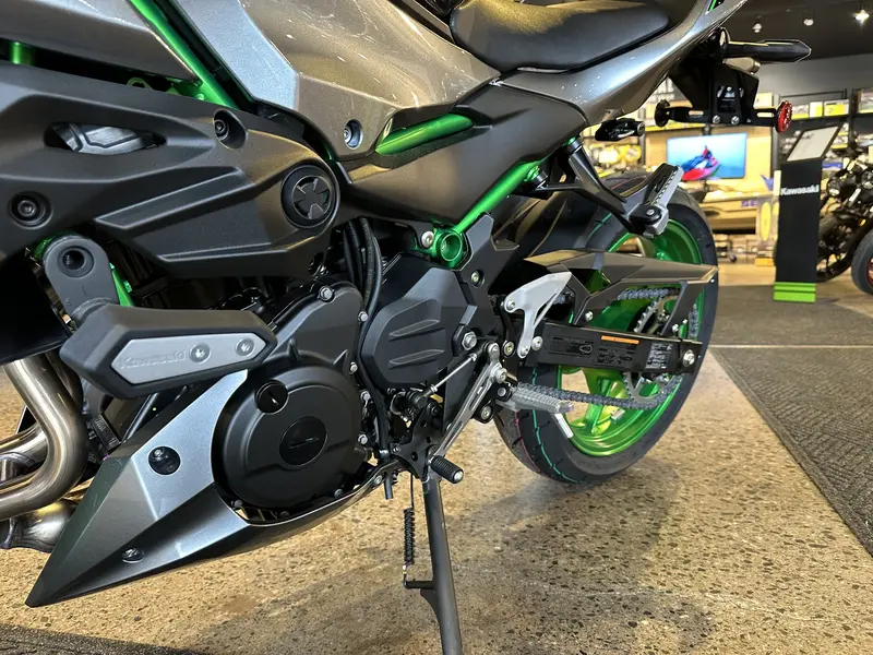 2025 Kawasaki Z 500 SE