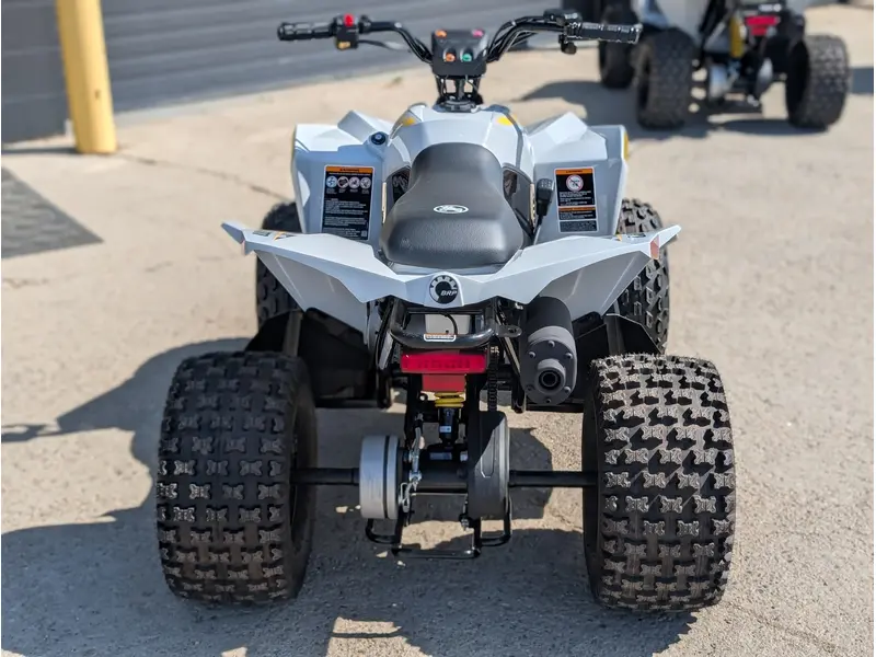 2025 Can-Am Renegade 110 EFI