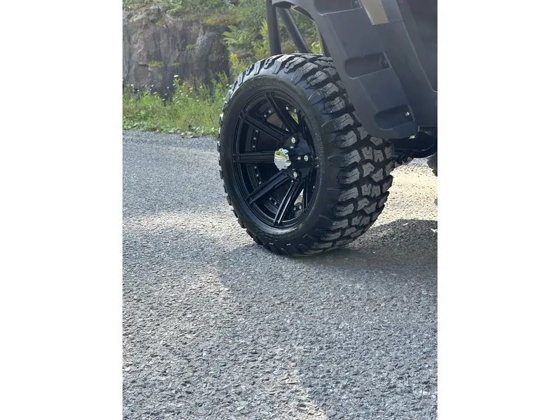 2024 ACE golf carts Special Edition