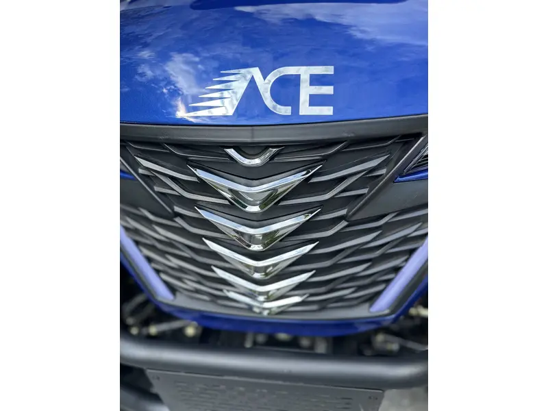 2024 ACE golf carts Special Edition