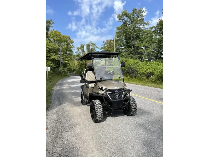2024 ACE golf carts Special Edition
