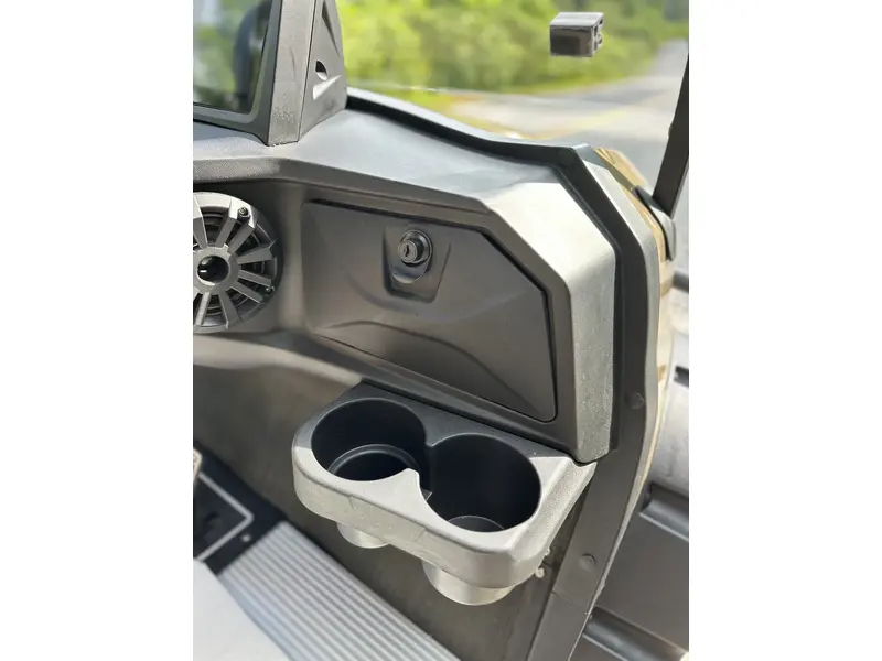 2024 ACE golf carts Special Edition