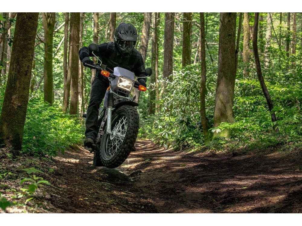 Yamaha Tw200 2025 alt