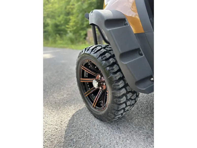 2024 ACE golf carts Special Edition