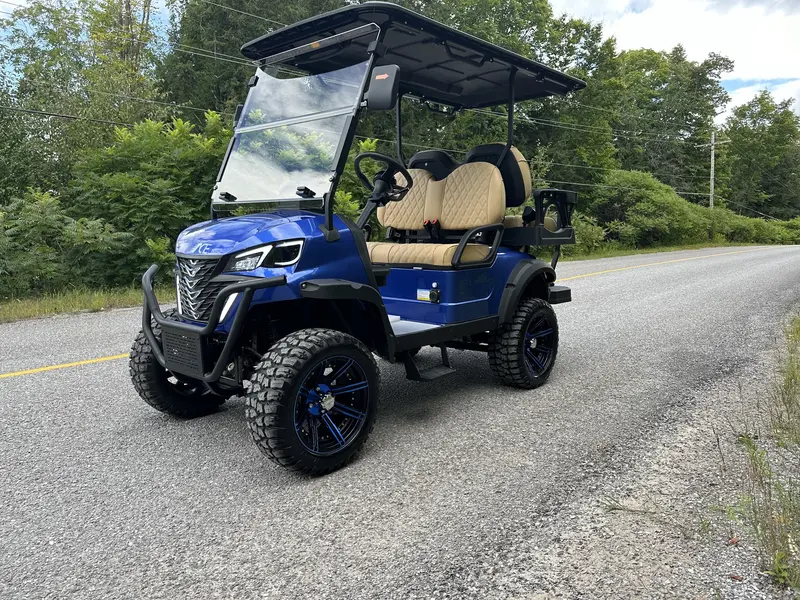 2024 ACE golf carts Special Edition