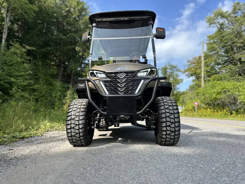 2024 ACE golf carts Special Edition