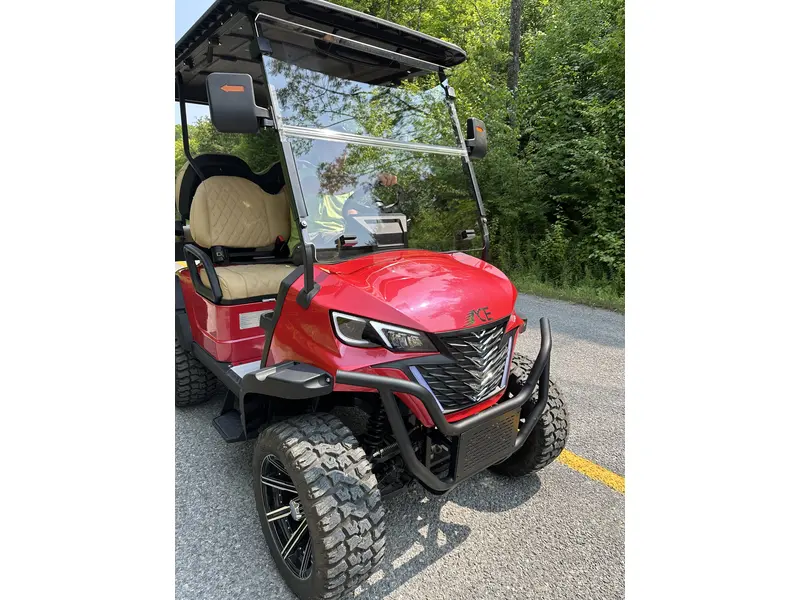 2024 ACE golf carts Special Edition
