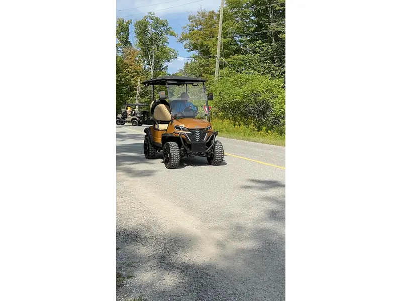 2024 ACE golf carts Special Edition