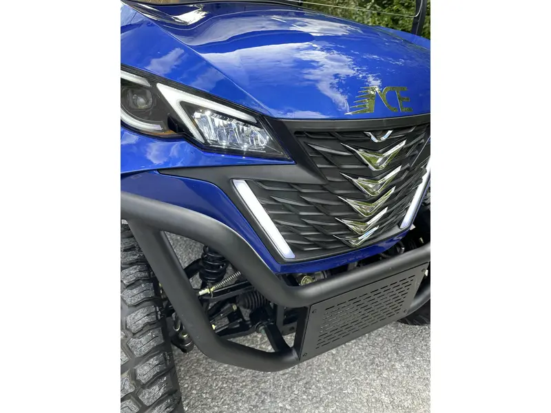 2024 ACE golf carts Special Edition