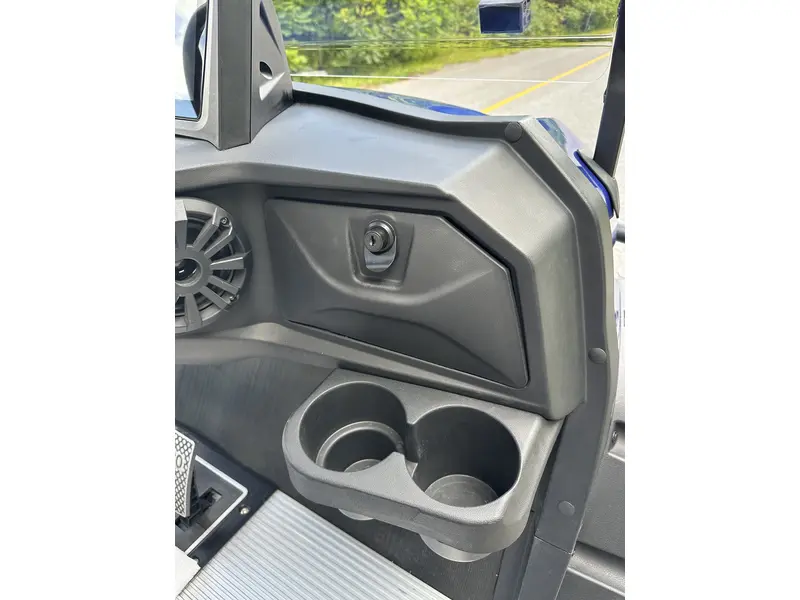 2024 ACE golf carts Special Edition