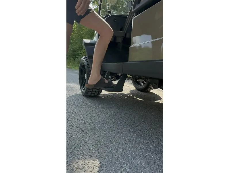 2024 ACE golf carts Special Edition