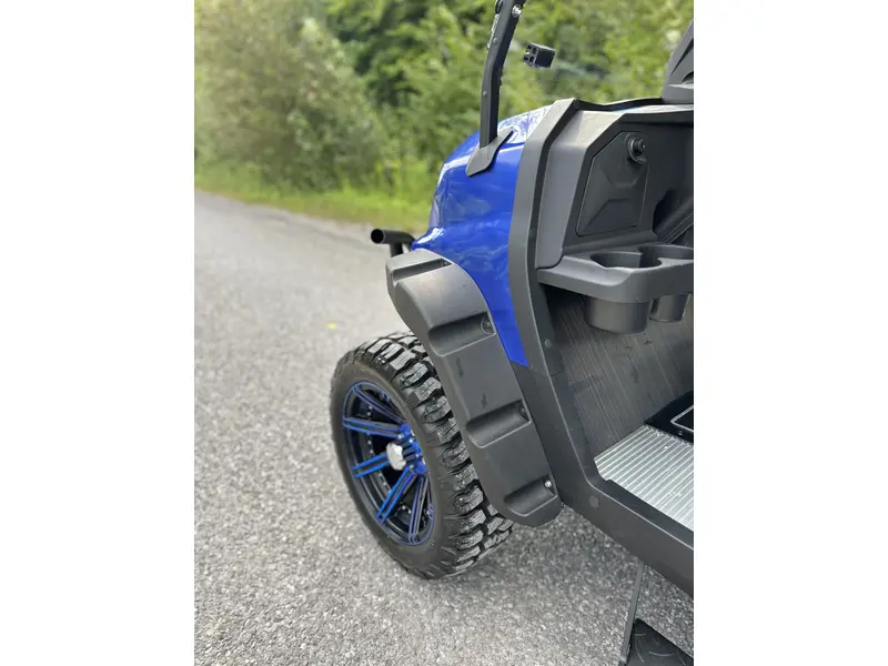 2024 ACE golf carts Special Edition