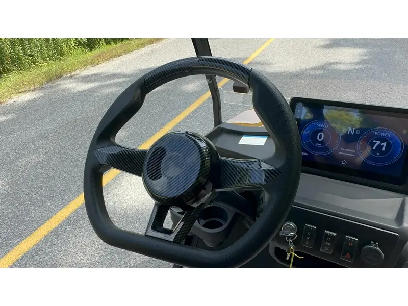 2024 ACE golf carts Special Edition