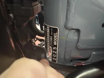 2025 Honda Monkey alt