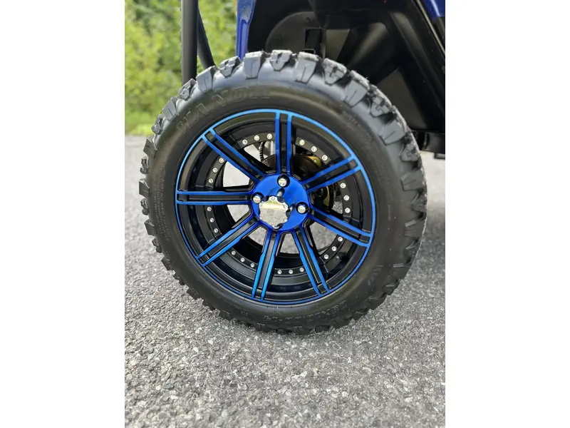 2024 ACE golf carts Special Edition