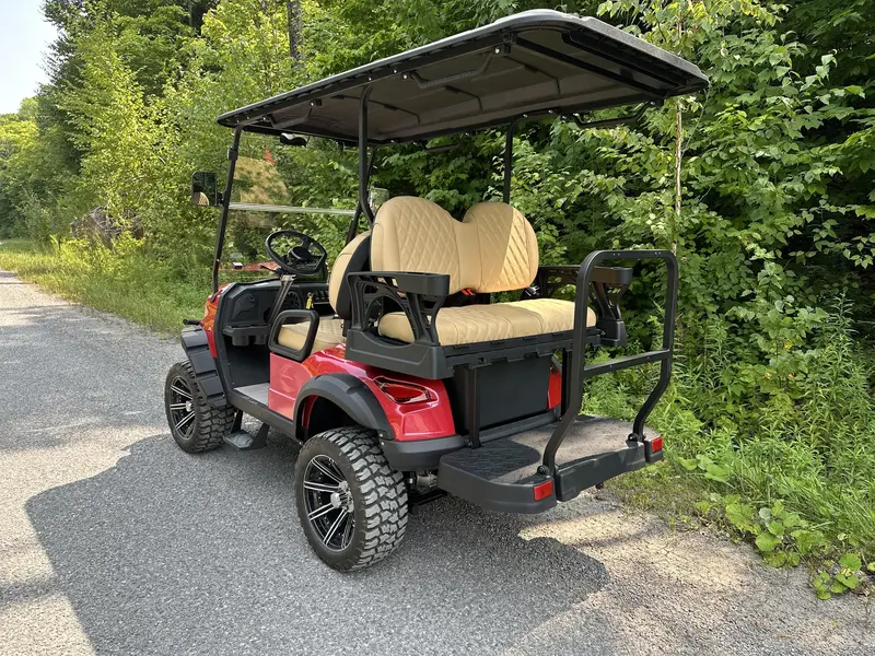2024 ACE golf carts Special Edition