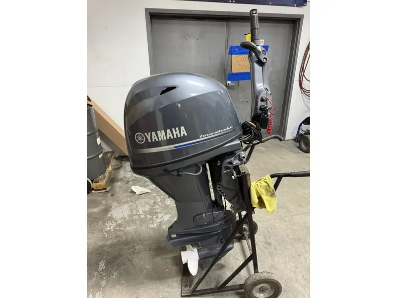 Yamaha F50LHB 2022