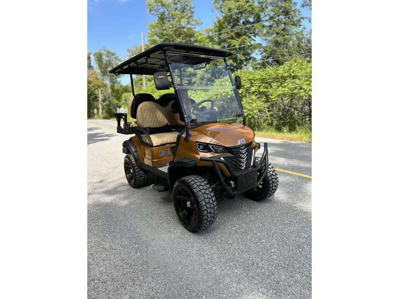 2024 ACE golf carts Special Edition