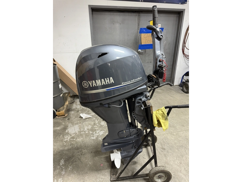 2023 Yamaha F50lhb alt