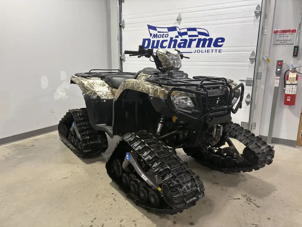 2019 Honda Rubicon 500 DCT IRS EPS * kit de chenille