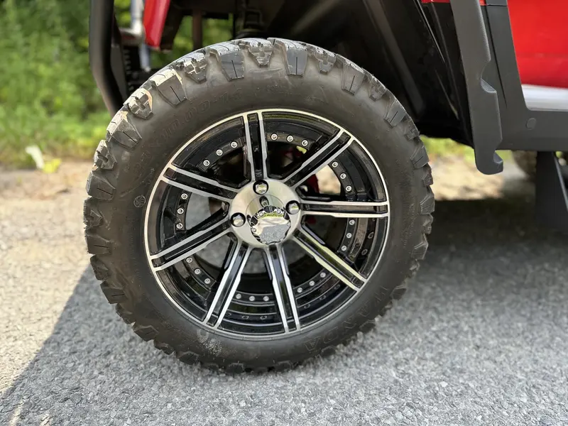 2024 ACE golf carts Special Edition