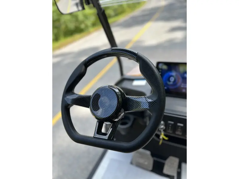 2024 ACE golf carts Special Edition