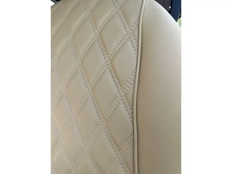 2024 ACE golf carts Special Edition