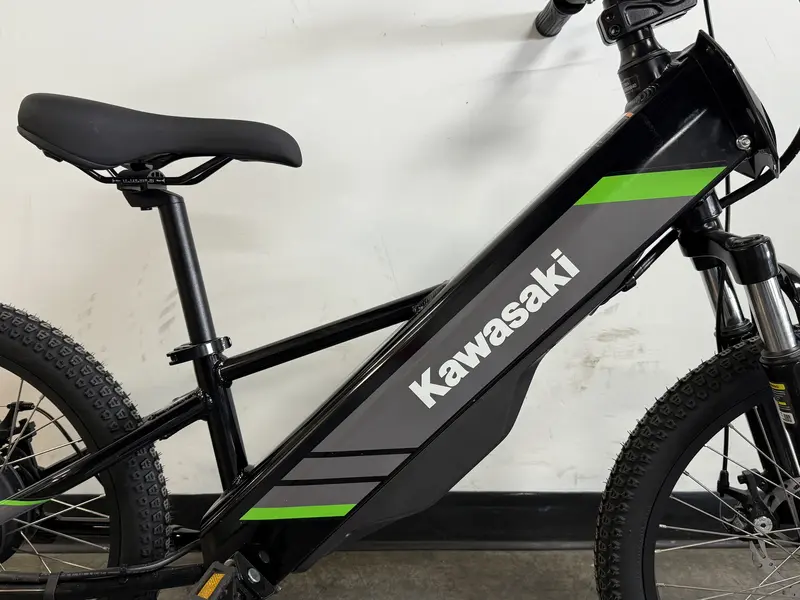 2025 Kawasaki ELEKTRODE 20 *0%/60 MOIS