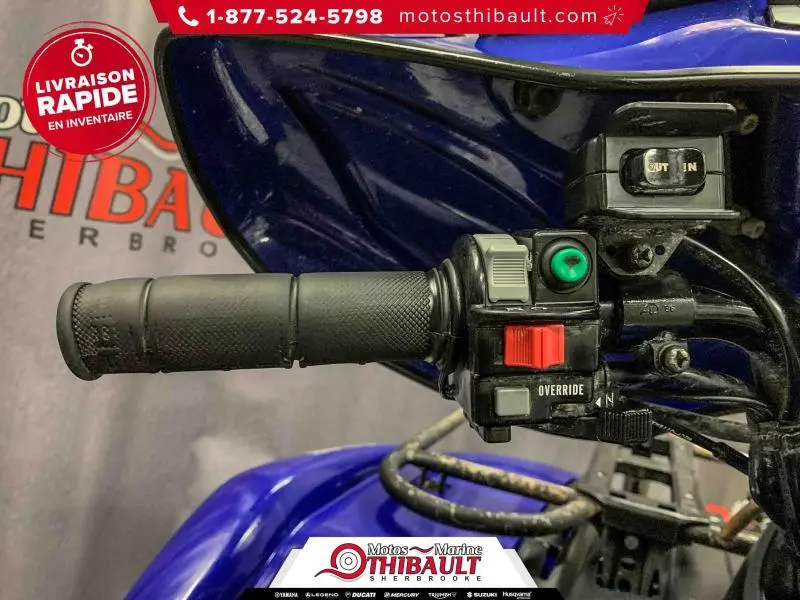 2005 Yamaha GRIZZLY 660