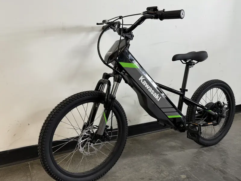 2025 Kawasaki ELEKTRODE 20 *0%/60 MOIS