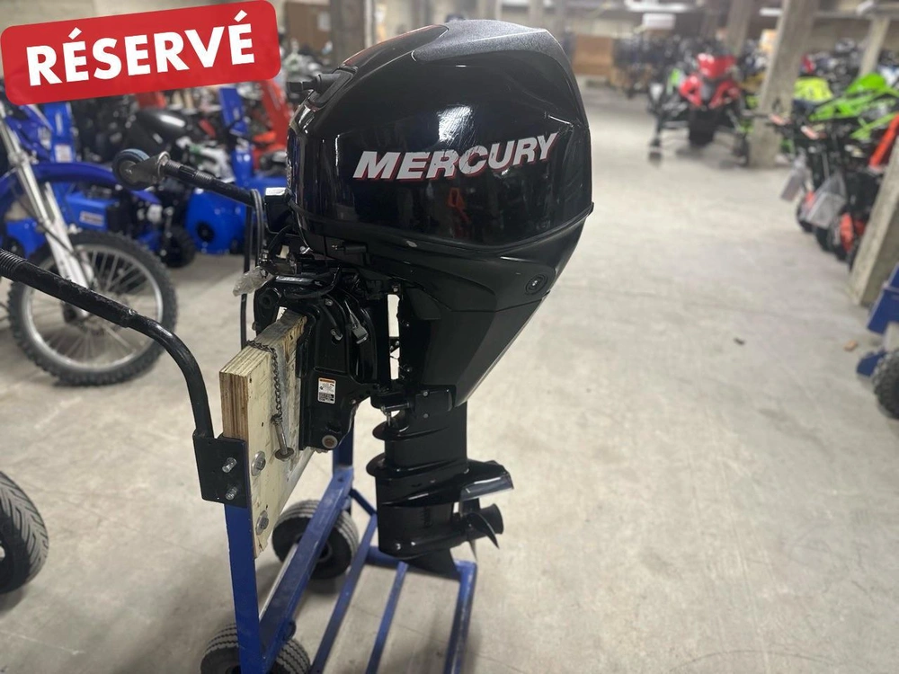 Mercury F25 Elpt 2009 alt