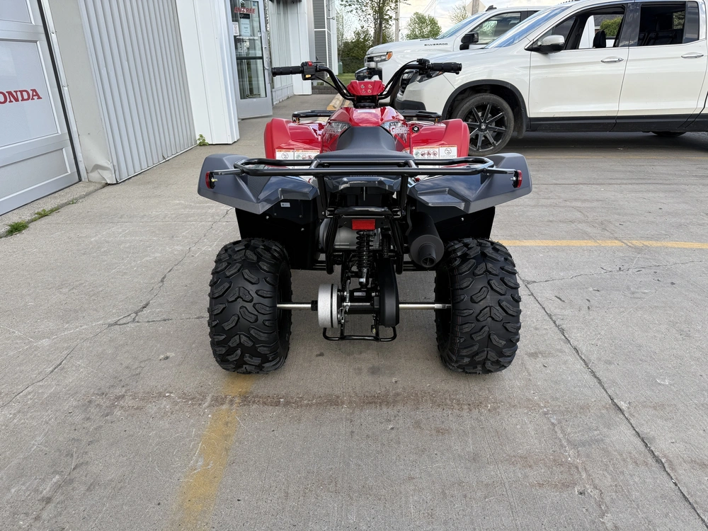 Yamaha Grizzly 110 2025 alt