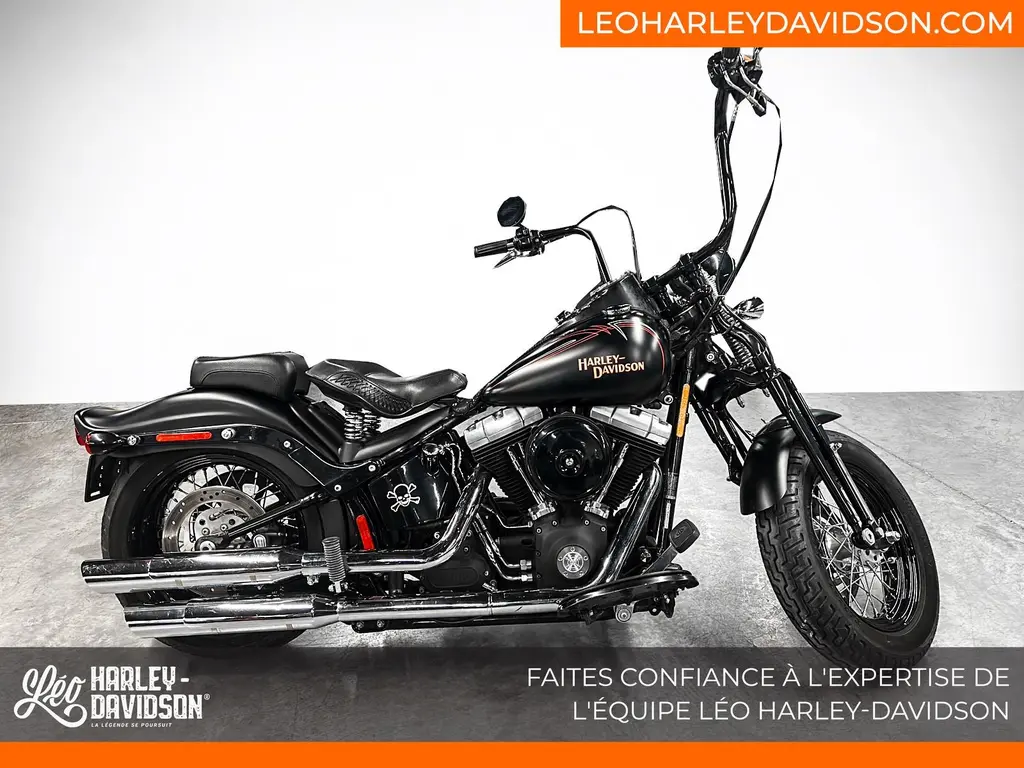 Harley-Davidson FLSTSB 2008 - Cross Bones