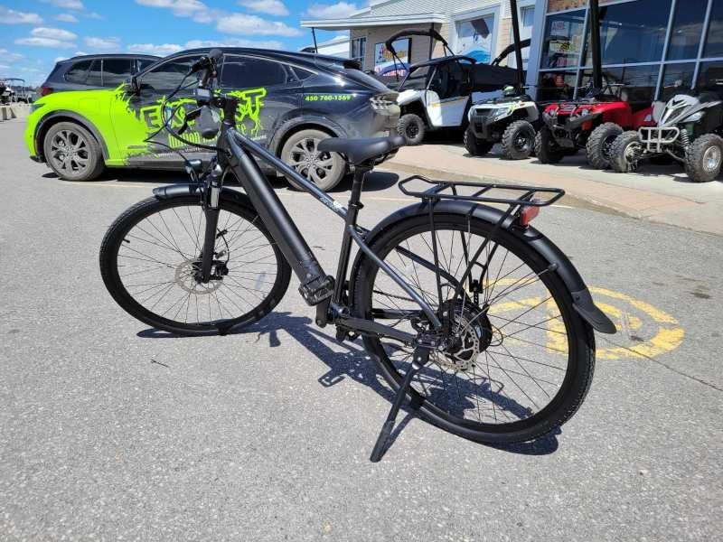 2024 Devinci E-milano Altus L alt