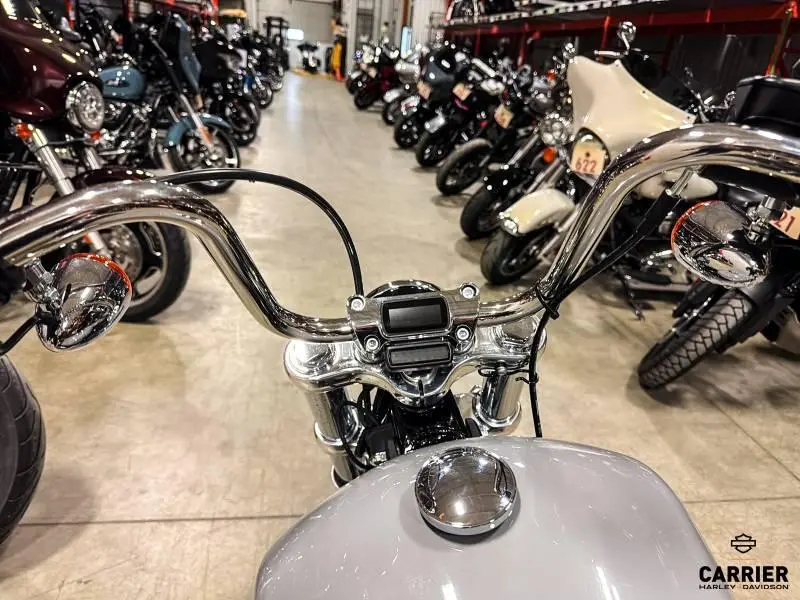 2024 Harley-Davidson Moto Harley-Davidson SOFTAIL STANDARD 2024