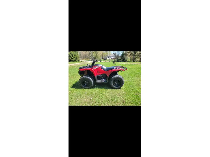 2020 Yamaha KODIAK 450