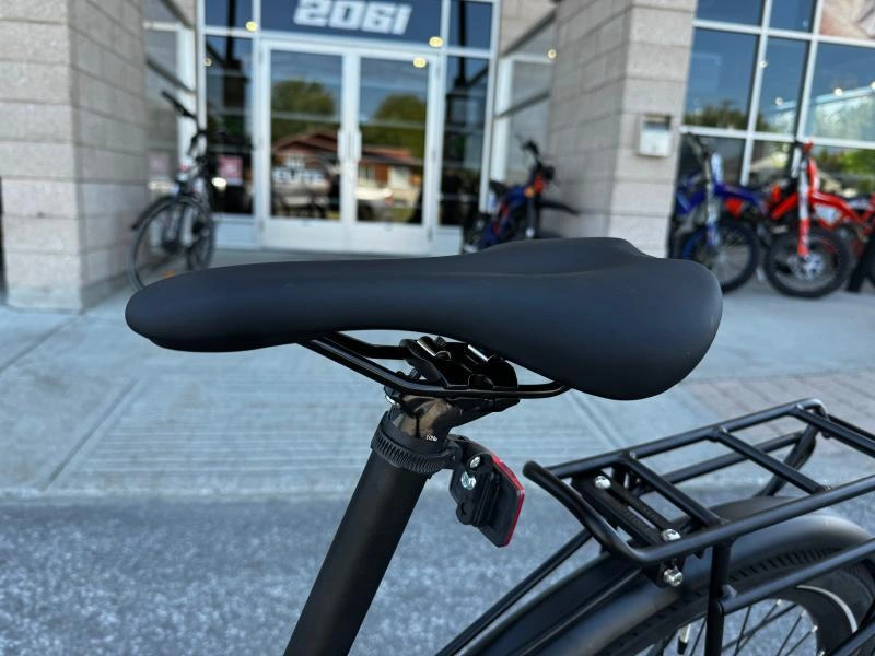 2024 Devinci E-cartier E6100 S alt