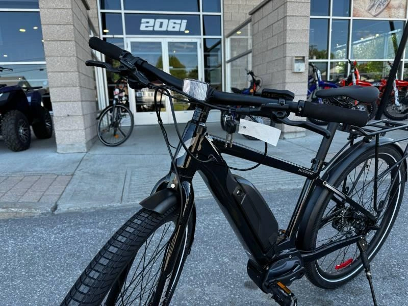 2024 Devinci E-cartier E6100 M alt
