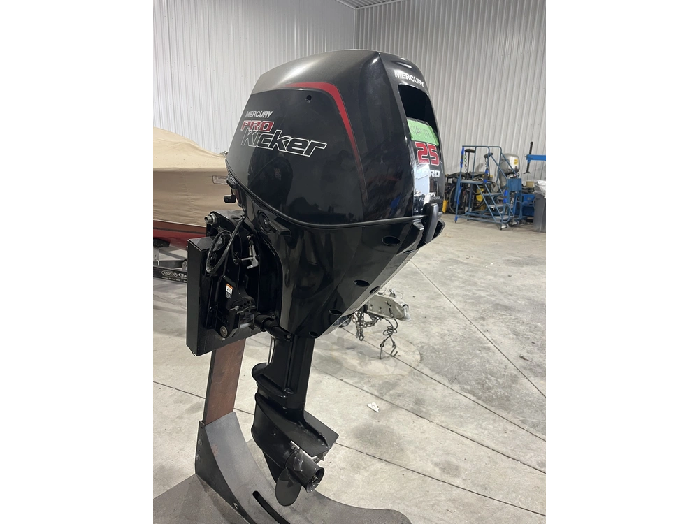 2024 Mercury 25 Elpt Pro Kicker alt