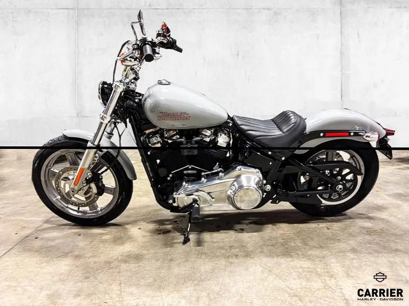 2024 Harley-Davidson Moto Harley-Davidson SOFTAIL STANDARD 2024