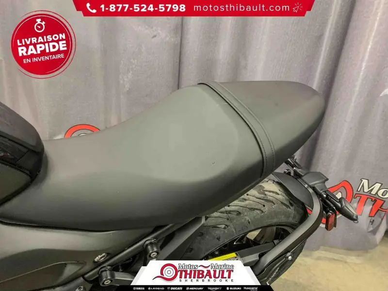 2024 Triumph TRIDENT 660