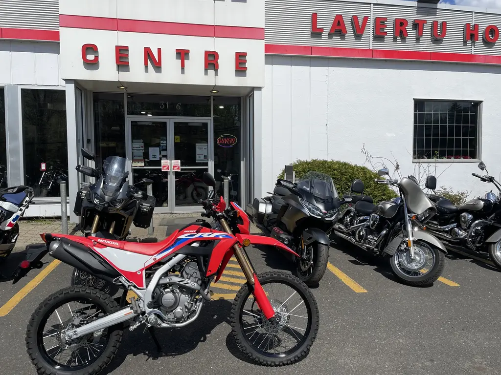 Honda CRF 300 L 2024 - DUAL