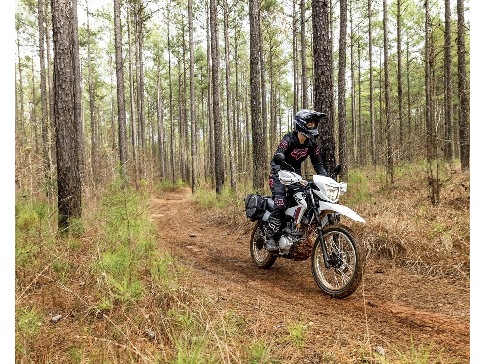 Honda Xr150l 2025 alt